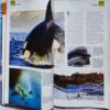 Knowledge ( October 2013 )