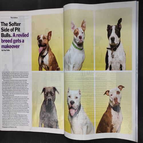 Time . Edition :- ( July 22, 2013 ) .
