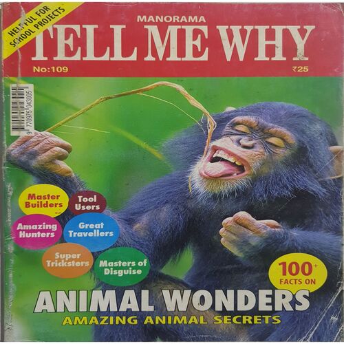 Tell Me Why ( October 2015 )
