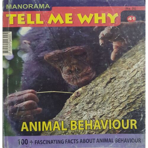 Tell Me Why ( February 2010 )