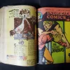 (INDRAJAL COMICS) (SINGLE BINDING 23 IN 1), 1.>THE CONSPIRATOR'S WEB (PART-1), 2.>THE CONSPIRATOR'S WEB (PART-2), 3.>TRAUMA OF FEAR, 4.>VETAAL KA BETA (PART-1), 5.>VETAAL KA BETA (PART-2), 6.>THE DUEL AT SHIKARGARH, 7.>CHUDAILON KEE DUNIYA, 8.>BHATAKATEE AATMAEN, 9.>THE MYSTERIOUS CUTLASS, 10.>MAUT SE MUKAABALA, 11.>THE IRON MAIDENS, 12.>JAHAREELA SANGEET, 13.>LAHARON KEE AAG (PART-1), 14.>LAHARON KEE AAG (PART-2), 15.>THE DOOMED CAPTIVES, 16.>THE VAIN PRINCE, 17.>FAULADI BAHADUR, 18.>THE INVISIBLE THIEF, 19.>MANDRAKE'S KA KHOONKHAAR BHAEE (PART-2), 20.>MANDRAK'S KA KHOONKHAAR BHAEE (PART-1), 21.>HEERON JADEE TROPHEE KEE CHOREE, 22.>THE DRAGOUR FROM VEGA-3, 23.>PAGAL VAIGYAANIK,