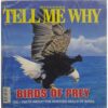 Tell Me Why ( October 2012 )
