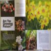 Science Reporter ( June 2017 )