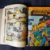 (INDRAJAL COMICS) (SINGLE BINDING 23 IN 1), 1.>THE CONSPIRATOR'S WEB (PART-1), 2.>THE CONSPIRATOR'S WEB (PART-2), 3.>TRAUMA OF FEAR, 4.>VETAAL KA BETA (PART-1), 5.>VETAAL KA BETA (PART-2), 6.>THE DUEL AT SHIKARGARH, 7.>CHUDAILON KEE DUNIYA, 8.>BHATAKATEE AATMAEN, 9.>THE MYSTERIOUS CUTLASS, 10.>MAUT SE MUKAABALA, 11.>THE IRON MAIDENS, 12.>JAHAREELA SANGEET, 13.>LAHARON KEE AAG (PART-1), 14.>LAHARON KEE AAG (PART-2), 15.>THE DOOMED CAPTIVES, 16.>THE VAIN PRINCE, 17.>FAULADI BAHADUR, 18.>THE INVISIBLE THIEF, 19.>MANDRAKE'S KA KHOONKHAAR BHAEE (PART-2), 20.>MANDRAK'S KA KHOONKHAAR BHAEE (PART-1), 21.>HEERON JADEE TROPHEE KEE CHOREE, 22.>THE DRAGOUR FROM VEGA-3, 23.>PAGAL VAIGYAANIK,