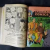 (INDRAJAL COMICS) (SINGLE BINDING 23 IN 1), 1.>THE CONSPIRATOR'S WEB (PART-1), 2.>THE CONSPIRATOR'S WEB (PART-2), 3.>TRAUMA OF FEAR, 4.>VETAAL KA BETA (PART-1), 5.>VETAAL KA BETA (PART-2), 6.>THE DUEL AT SHIKARGARH, 7.>CHUDAILON KEE DUNIYA, 8.>BHATAKATEE AATMAEN, 9.>THE MYSTERIOUS CUTLASS, 10.>MAUT SE MUKAABALA, 11.>THE IRON MAIDENS, 12.>JAHAREELA SANGEET, 13.>LAHARON KEE AAG (PART-1), 14.>LAHARON KEE AAG (PART-2), 15.>THE DOOMED CAPTIVES, 16.>THE VAIN PRINCE, 17.>FAULADI BAHADUR, 18.>THE INVISIBLE THIEF, 19.>MANDRAKE'S KA KHOONKHAAR BHAEE (PART-2), 20.>MANDRAK'S KA KHOONKHAAR BHAEE (PART-1), 21.>HEERON JADEE TROPHEE KEE CHOREE, 22.>THE DRAGOUR FROM VEGA-3, 23.>PAGAL VAIGYAANIK,