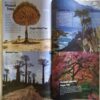Science Reporter ( January 2019 )