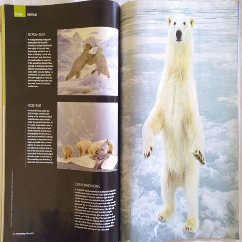 Knowledge ( February 2013 )