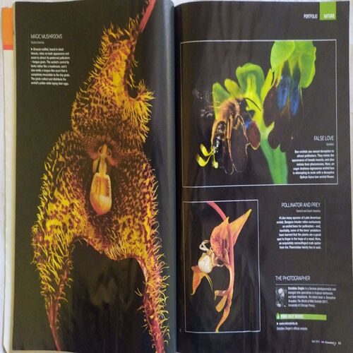 Knowledge ( April 2013 )
