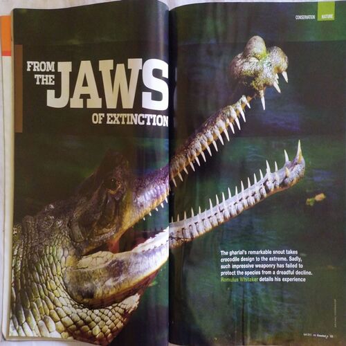 Knowledge ( April 2013 )