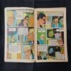 FAULADI SINGH AND THE ENEMIES OF THE EARTH (COVER LESS)
