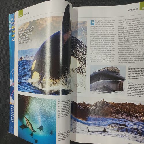 Knowledge . Edition :- ( October - 2013 ) .