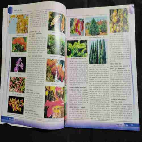 Vigyaan Pragati (June 2015 )