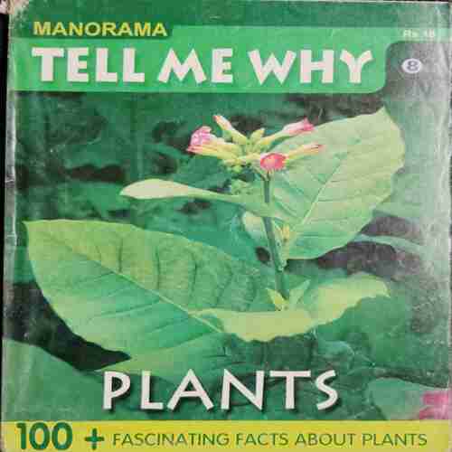 TELL ME WHY (No.8)