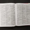 Pradeep's New Standard Concise Dictionary