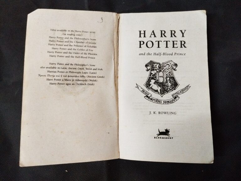HARRY POTTER And The Half Blood Prince .