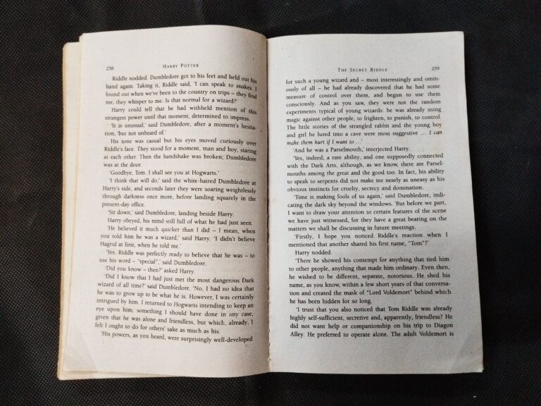 HARRY POTTER And The Half Blood Prince .