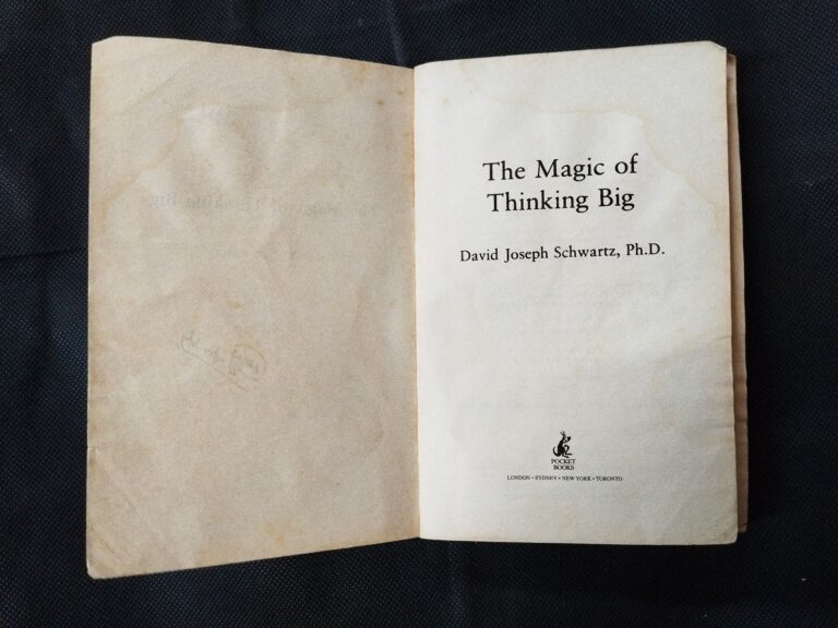The Magic Of Thinking Big ( David J. Schwartz ) .