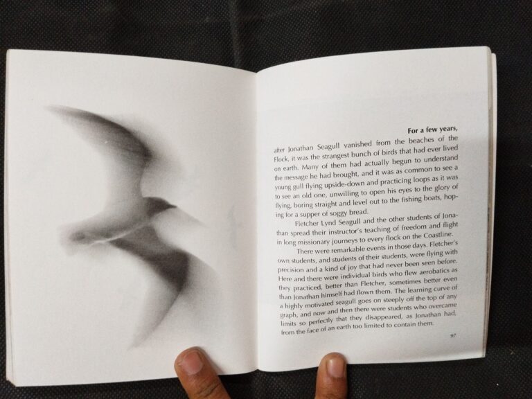 Jonathan Livingston Seagull a story ( Richard Bach ) .