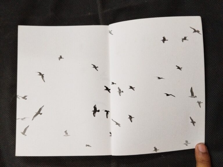 Jonathan Livingston Seagull a story ( Richard Bach ) .