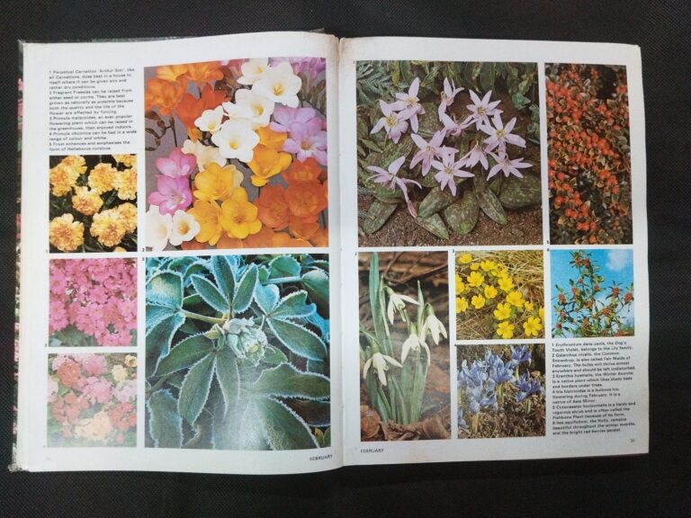 Garden Diary ( Marshall Cavendish ) .
