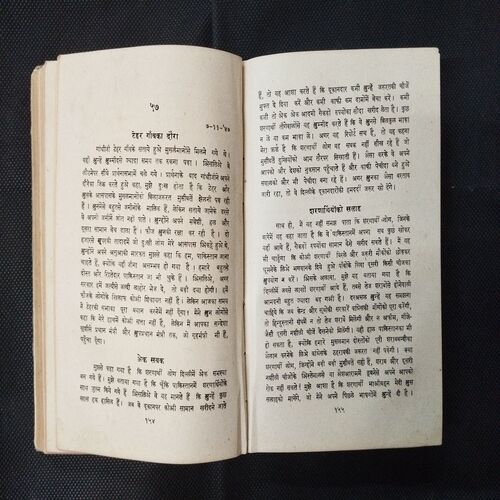 Delhi Diary ( Mohan Das Karamchand Gandhi ) .