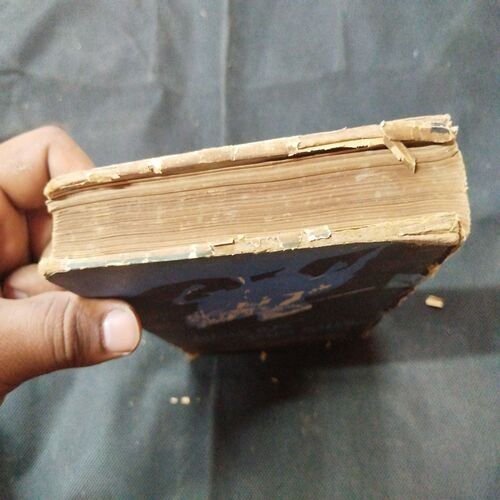 Nile Ghode Ka Sawar ( Rajendramohan Bhatnagar ) .