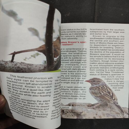 Tell Me Why . Edition :- ( Nov - 2023 , Vol. 17 , No. 11 ) .Front cover upper side half cut .