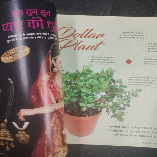 Vanita . Edition :- ( December - 2020 ) .