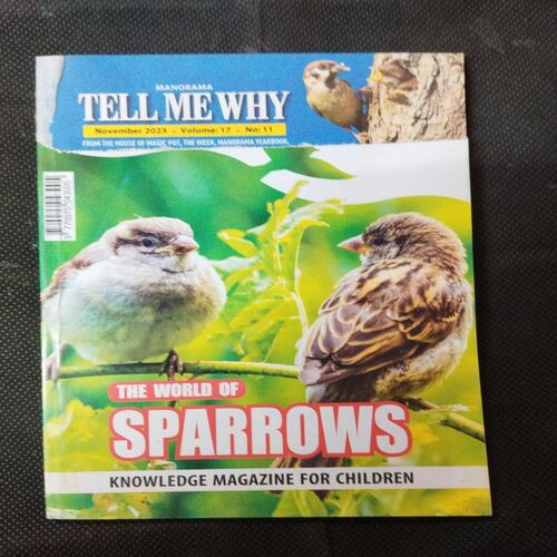 Tell Me Why - The World Of Sparrows ( November 2023 ) .