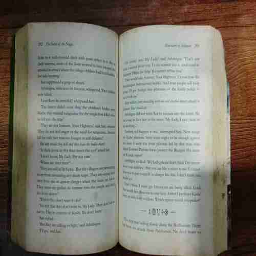 The Secret of the Nagas (Amish)