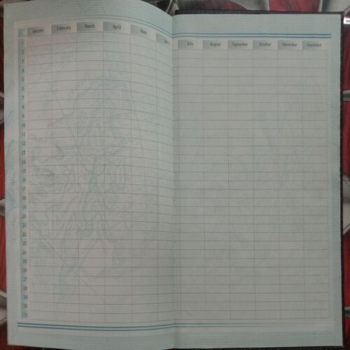 Executive Diary (2012)