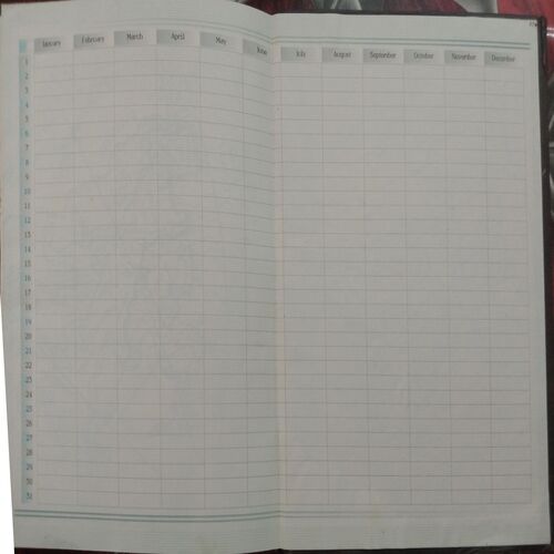 Executive Diary (2013)