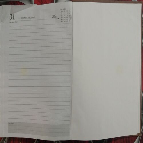 Executive Diary (2021)