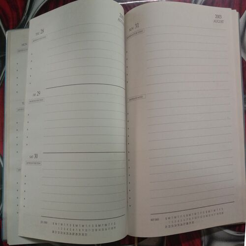 LIC Diary (2003)