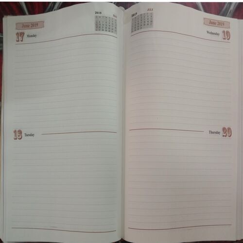 LIC Diary (2019)