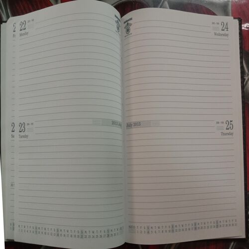 Executive Diary (2013)