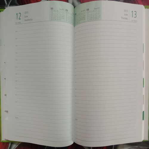 Diary (2013)