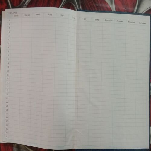 Executive Diary (2017)