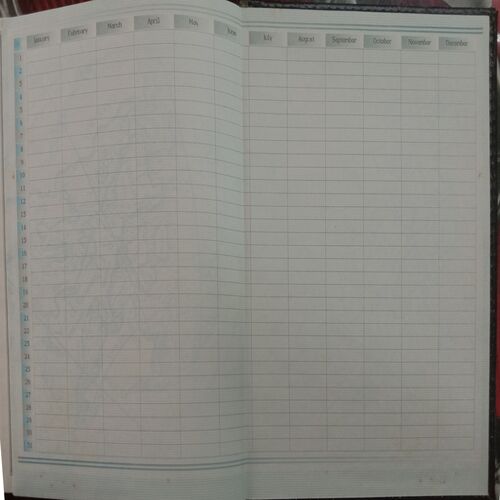 Executive Diary (2013)