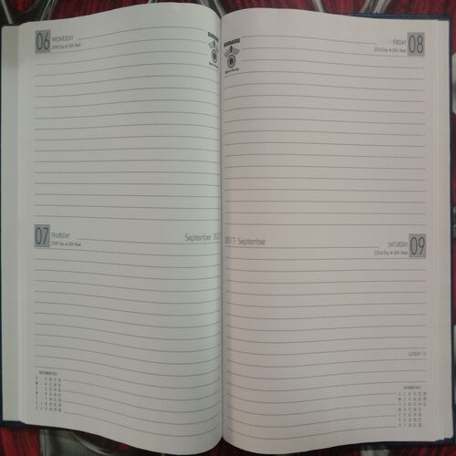 Executive Diary (2017)