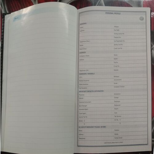 Executive Diary (2013)