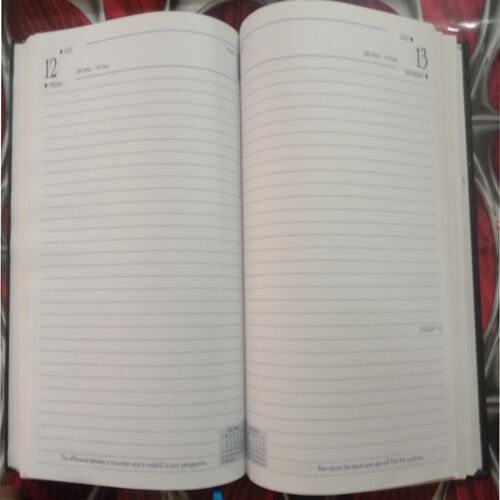 Executive Diary (2013)