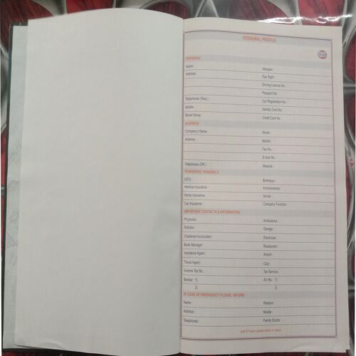 Executive Diary (2013)