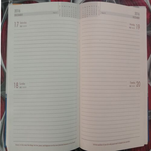 Engineering Diary (2016)