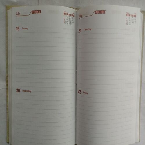 Diary (2016)