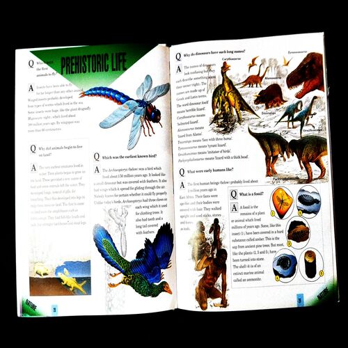 The Illustrated Book Of Questions And Answers .