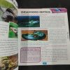 Children's Encyclopedia Of Fascinating Facts .