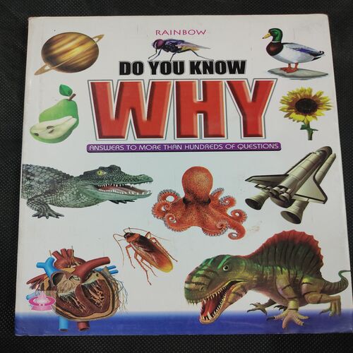 Rainbow Do You know Why .