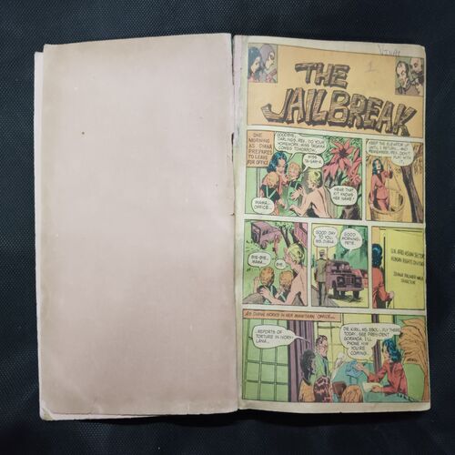 (INDRAJAL COMICS) (SINGLE BINDING- 14 IN 1) (LANGUAGE- ENGLISH), 1.>THE JAIL BREAK, 2.>THE HAUNT OF THE GHOST, 3.>THE PHANTOM'S ADORED GEM (PAET-1), 4.>THE PHANTOM'S ADORED GEM (PART-2), 5.>BAHADUR & THE CHILD-LIFTERS, 6.>THE SINISTER WORLD OF `8', 7.>THE BATTLE OF GIANTS, 8.>THE LAW-BREAKERS, 9.>50,000 MILES IN SPACE, 10.>THE SECRET ASSIGNMENT, 11.>VIDROHEE DAANAV, 12.>BHAIKH KA KHAJAANA, 13.>BHEESHMA, 14.>DHRUVA.