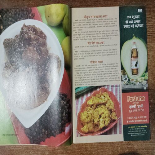 Vanita Cookbook (Vol.10)